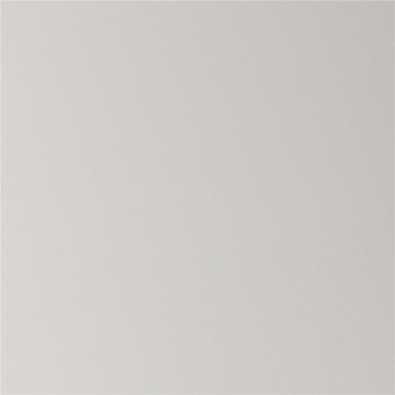 3101